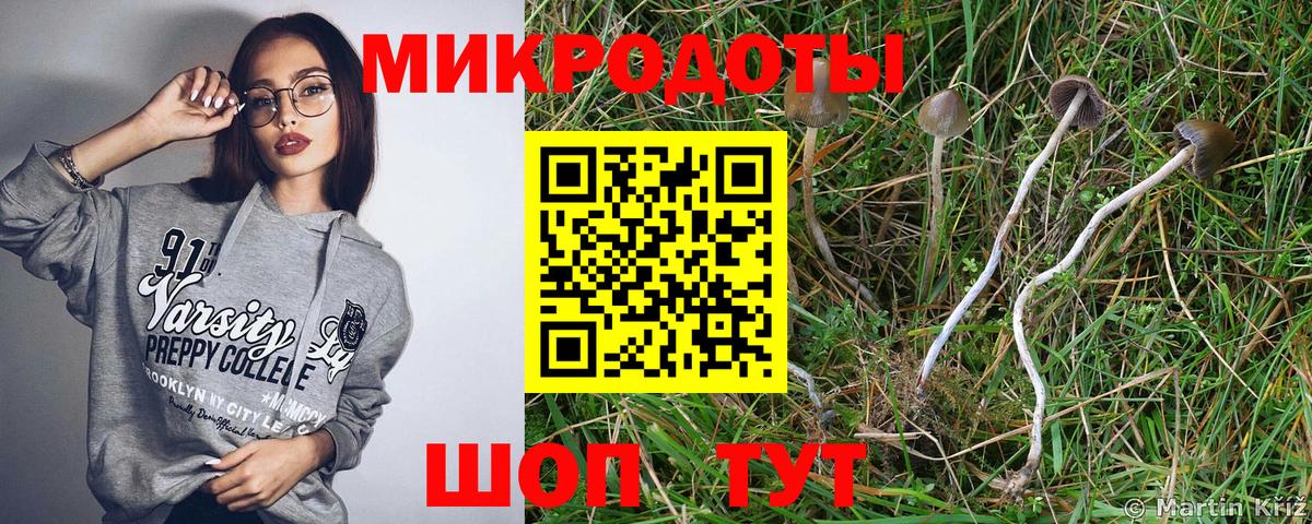 Галлюциногенные грибы ЛСД  Вход с VPN  Псилоцибиновые грибы Psilocybine cubensis  где купить   Звенигород 